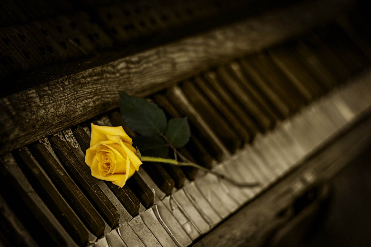 Newcastle Zoom Meetup 15/7/20